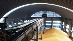 全年节约采购成元