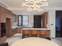 对于苏式老房、新中式气概营制等